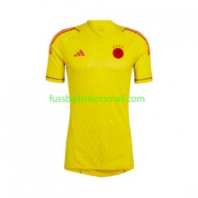 Fußballtrikots Deutschland Torwart Kinder FIFA WM 2022 Kurzarm Auswärts-trikot kaufen